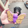 SP Butterfly Chew and Enrichment Toy