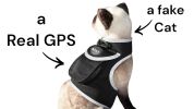 Portable Surveillance System GPS Pet Tracking Collars for Hunting Dogs Size:XXL