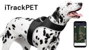 Waterproof Pet Collar Tracker Realtime Mini GPS Animal Tracking Device Size:XS