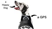 Enhanced GSM GPS Mini Pet Locator Tag Waterproof Dog/Cat Tracking Sys Size:XS